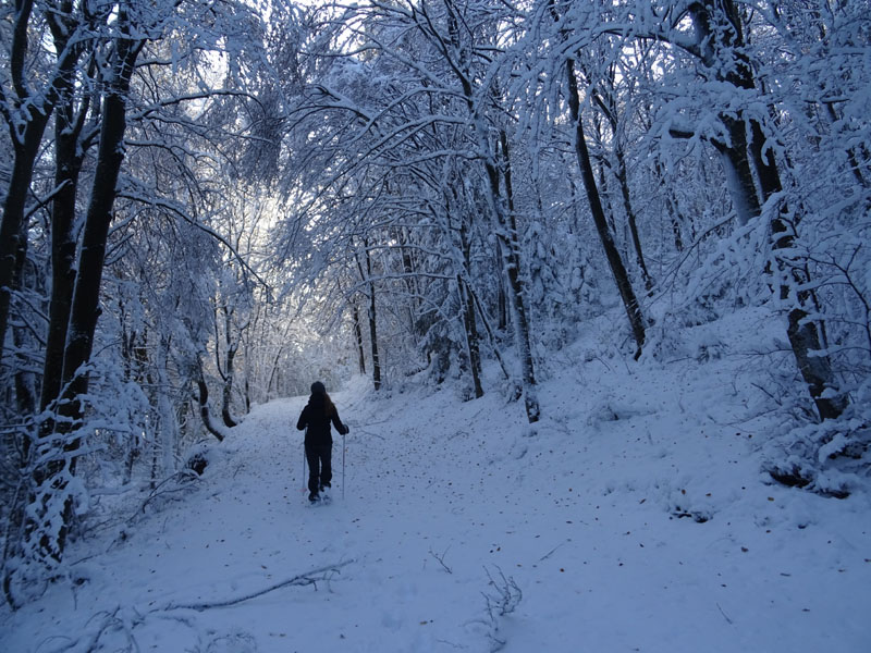 prime escursioni sulla neve....autunno  2019